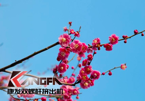 春光明媚,春意盎然!康發(fā)JSH系列雙螺桿造粒機組集中發(fā)貨